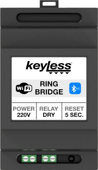 RING - BRIDGE
