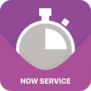 Now Service 100
